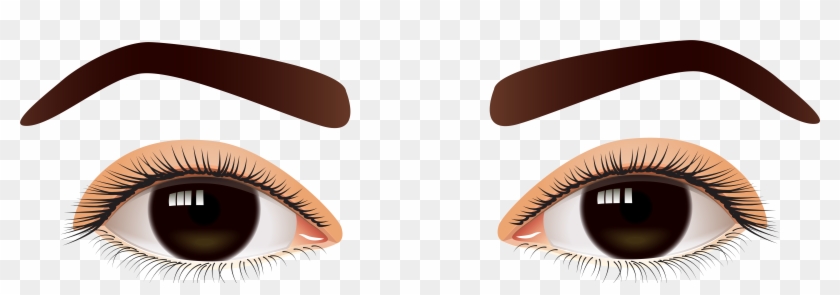 Brown Eyes Images - Human Eye Eyes Clipart - Png Download