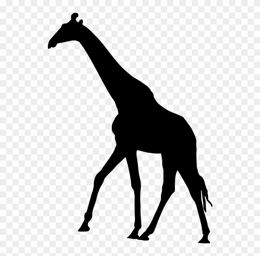 Elephant And Giraffe Cards , Png Download - Giraffe Silhouette Clipart