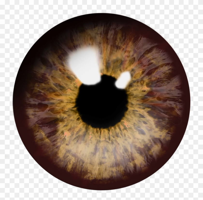 Eyes Png Images Free - Eye Pupil Png Clipart