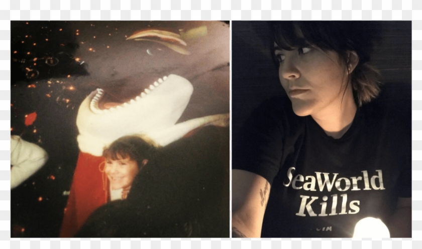 An Error Occurred - Anne Eckis Shamu Clipart #27738