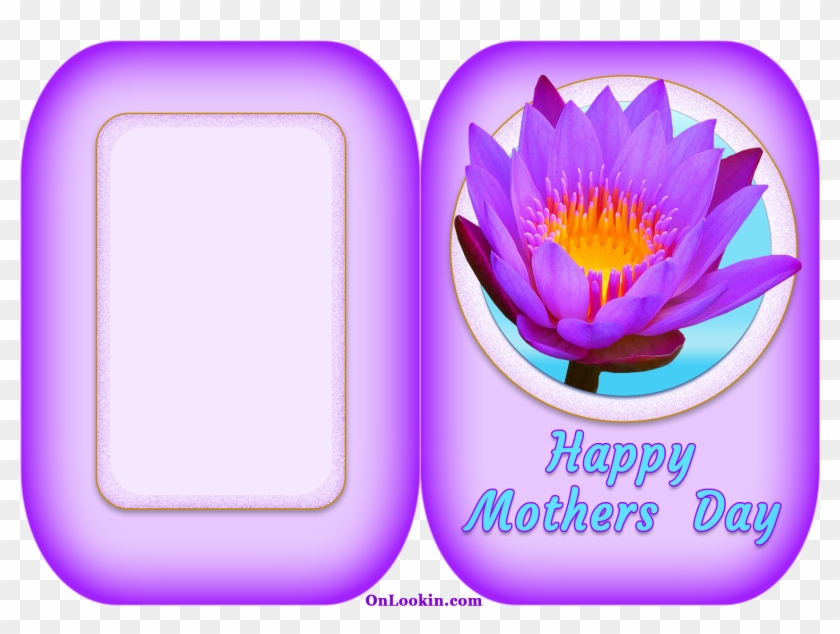 Happy Mothers Day Violet Lily - Water Lily Clipart