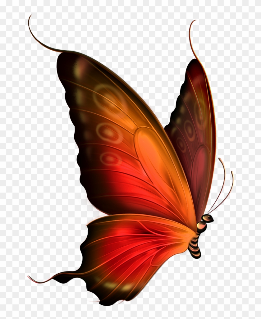 Red And Brown Transparent Butterfly Clipart - Transparent Background Butterfly Gif - Png Download