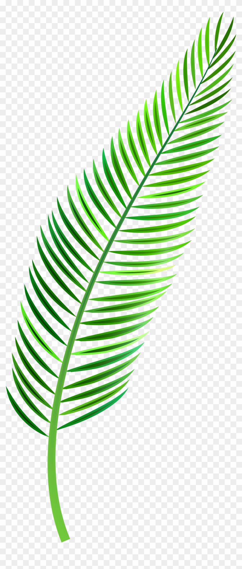 Palm Leaf Png Clip Art - Palm Leaf Clipart Png Transparent Png #28305