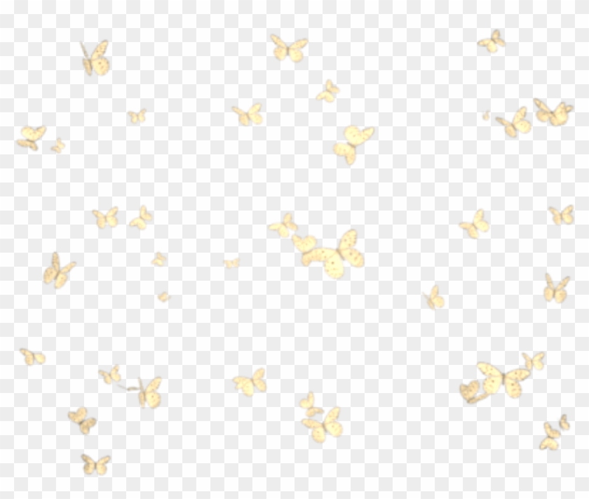 Butterflies Mariposas Mariposa Butterfly Group Grupo - Butterfly Clipart