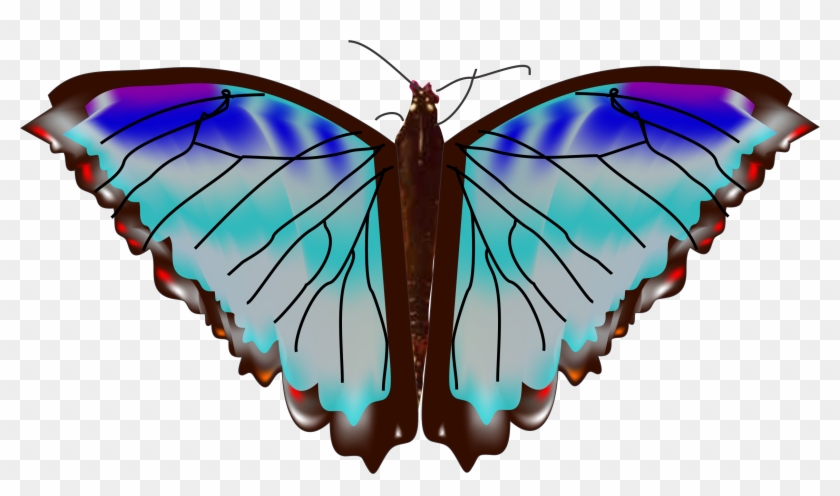 Mariposa 2 Clipart