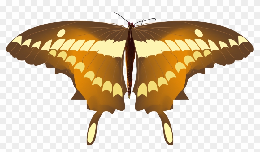 Mariposa 6 Clipart
