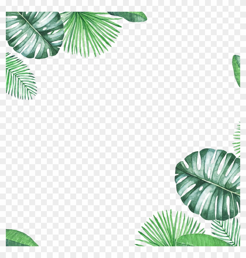 Green Border Leaf Texture Fresh Free Clipart Hd Clipart - Transparent Transparent Background Leaf Border - Png Download #28574