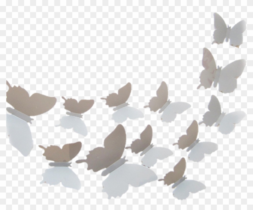 Mariposa - Mariposas Pared Png Clipart