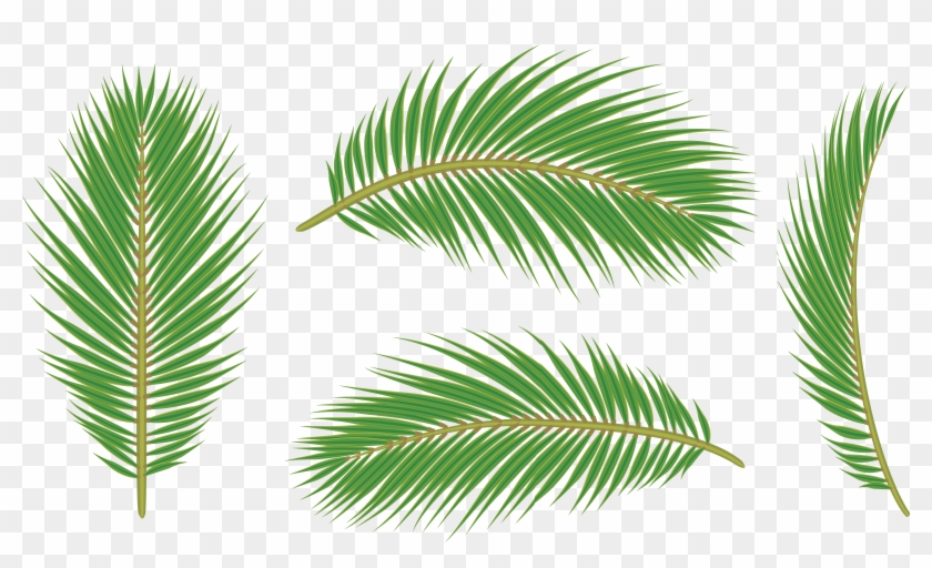 Palm Tree Clipart #28711