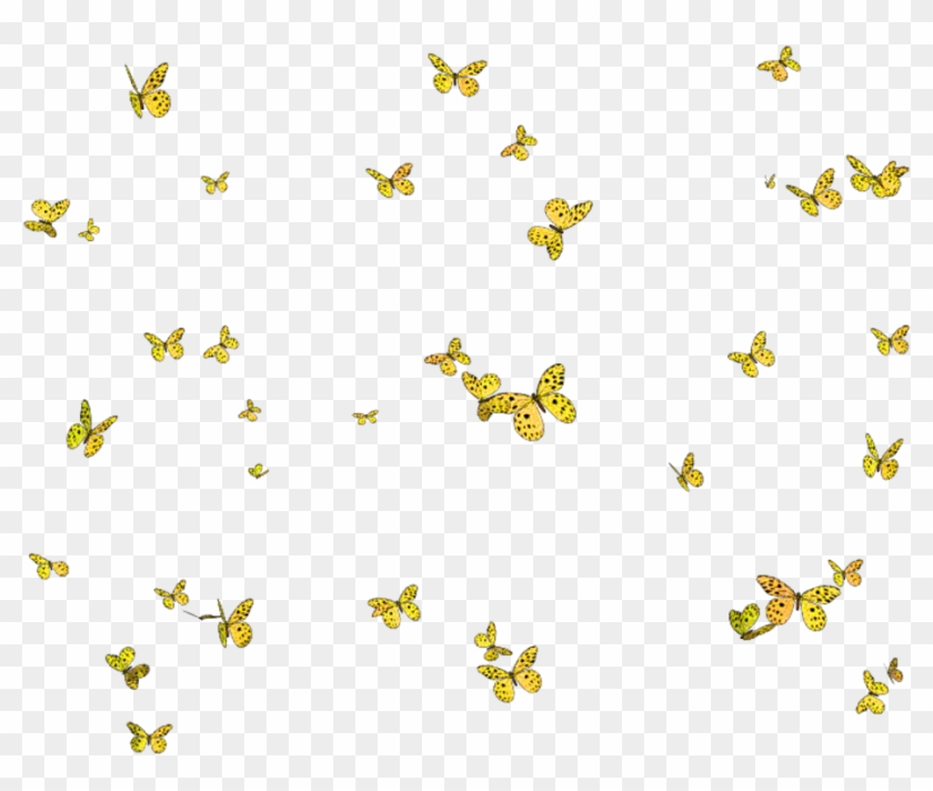 Report Abuse - Imagem Fundo De Borboletas Em Png Clipart