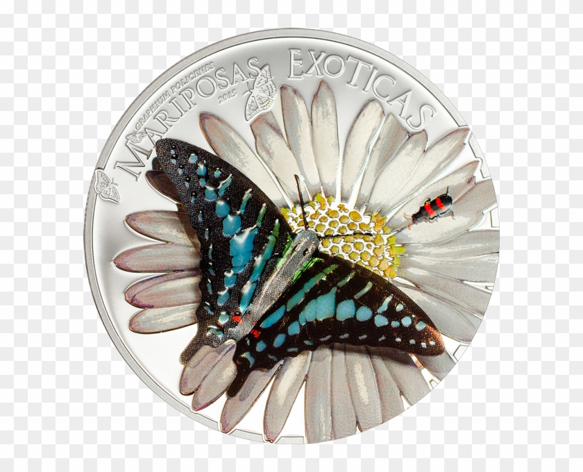 Equatorial Guinea 2015 1000 Francos Exotic Butterflies - Butterfly Coin 3d Clipart #29023