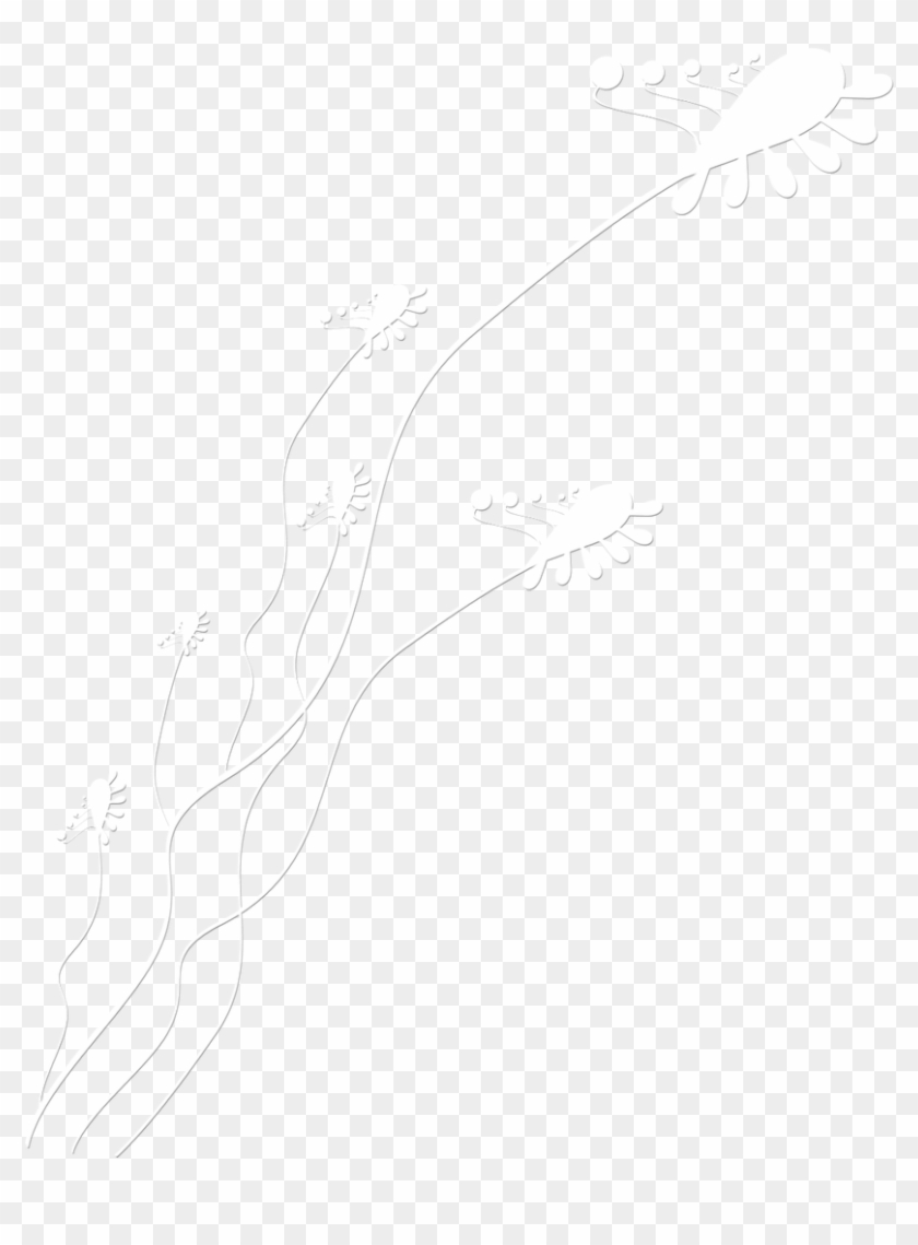 Sketch Clipart #29047