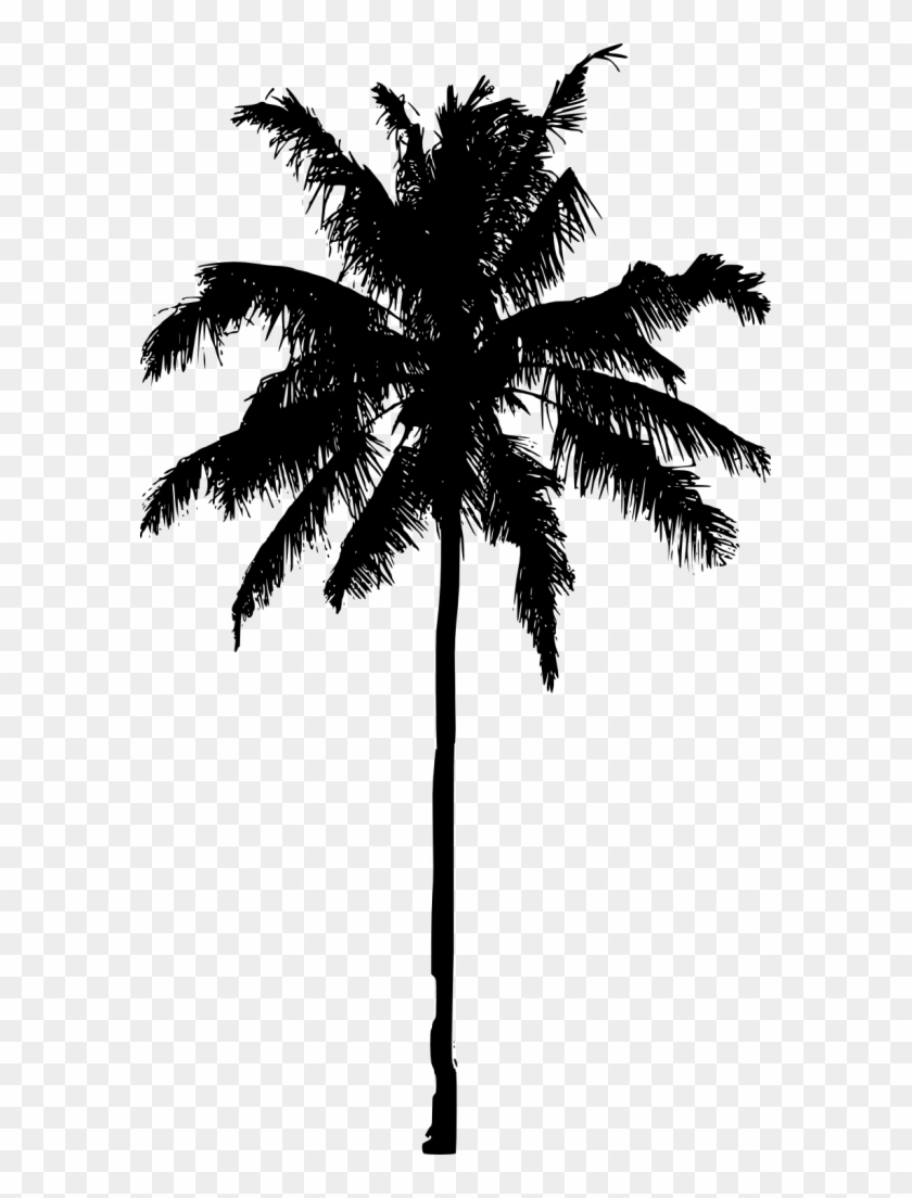 581 X 1024 20 - Palm Tree Silhouette Png Clipart