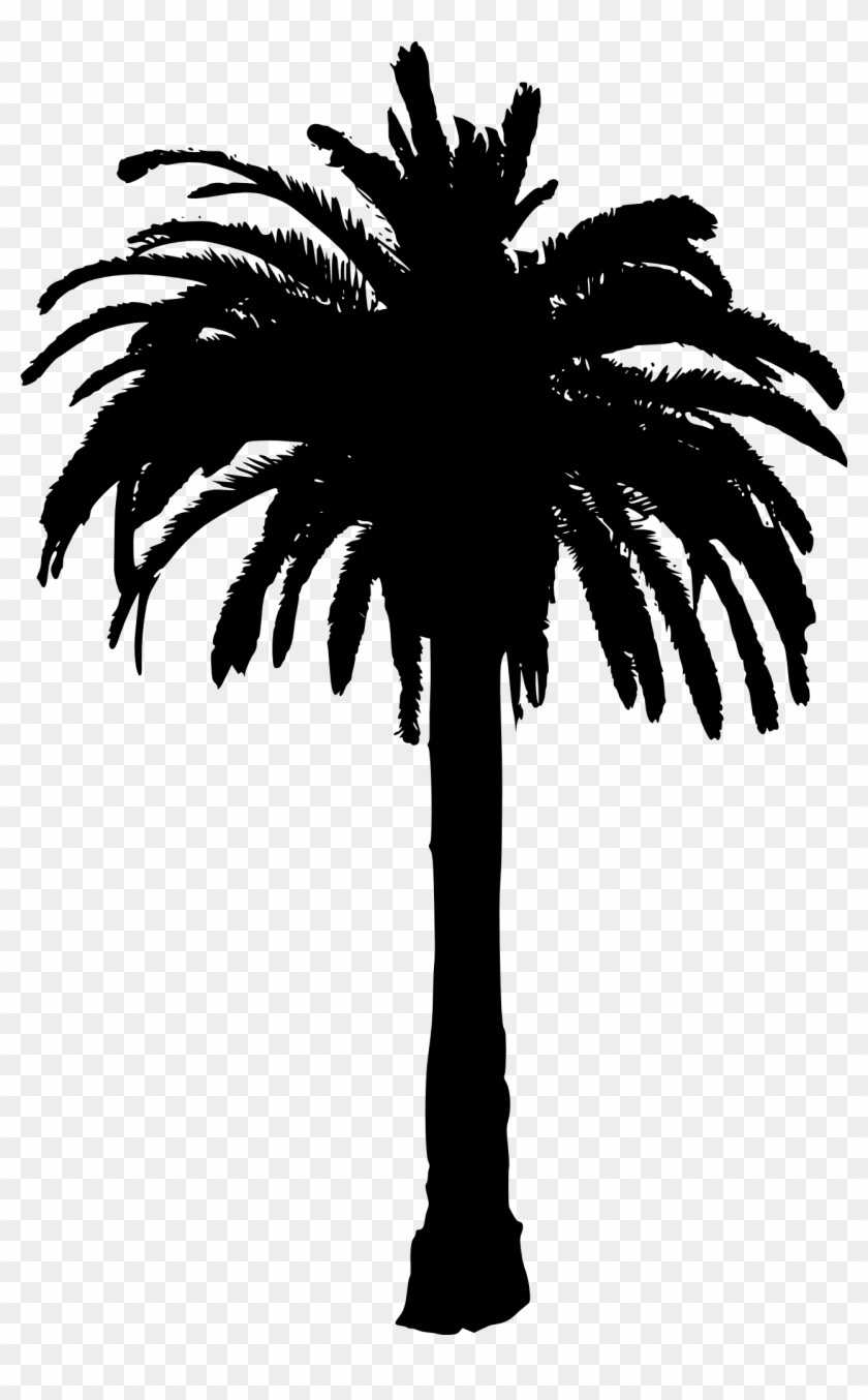 15 Palm Tree Silhouettes Png Transparent Background - Palm Tree Silhouette Transparent Background Clipart #29071