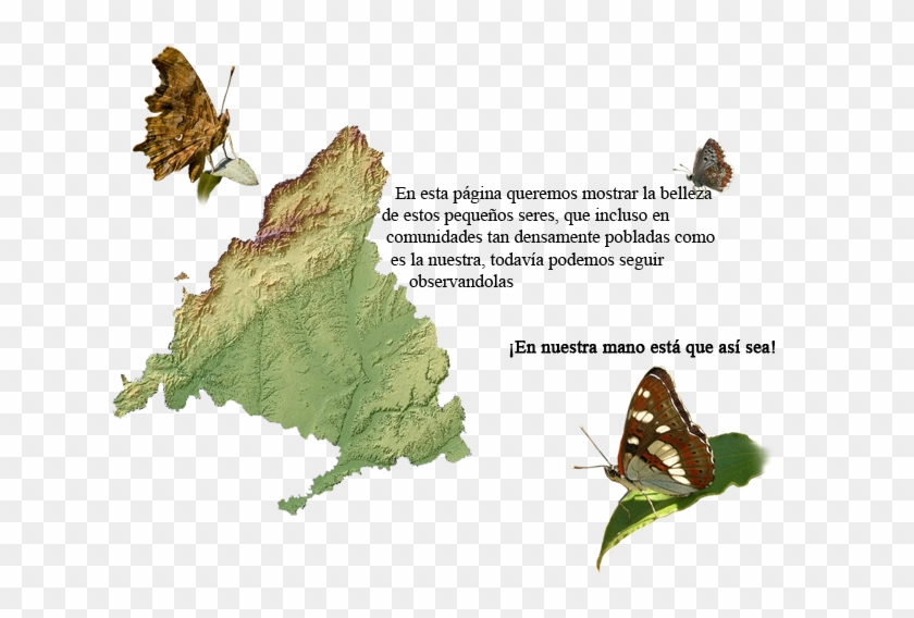 En Esta Página Queremos Mostrar La Belleza De Estos - Ribatejada Madrid Clipart #29091