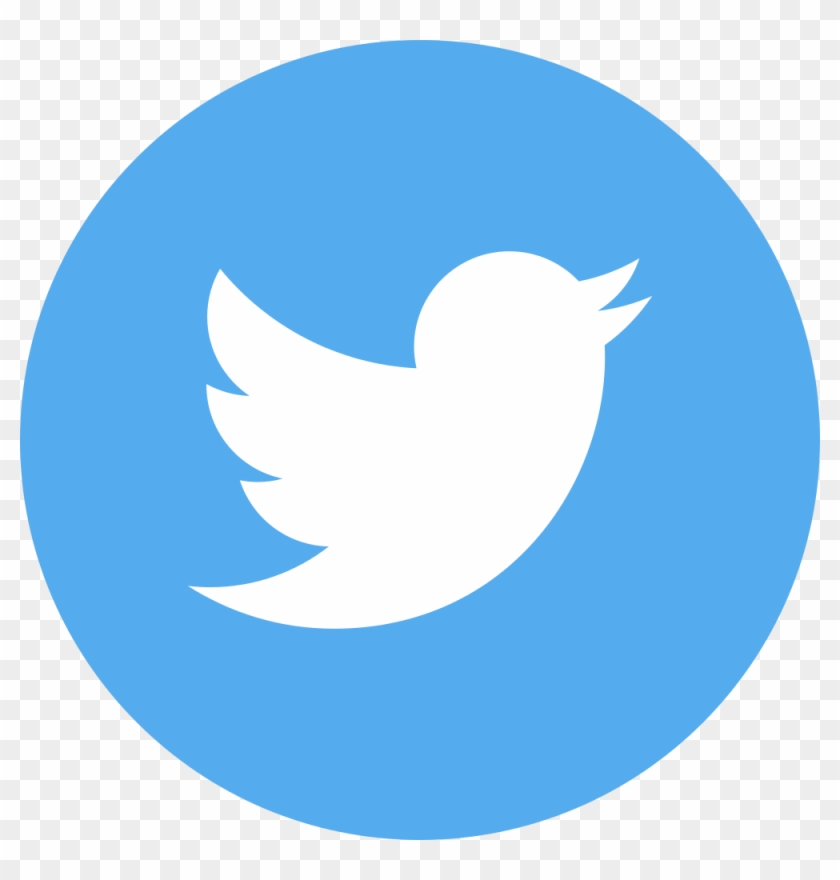801 X 801 5 - Transparent Twitter Icon Clipart #29582