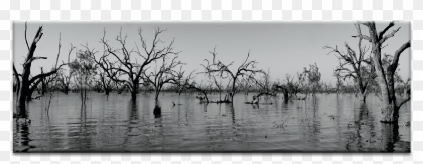 Ripple Png Bw - Monochrome Clipart