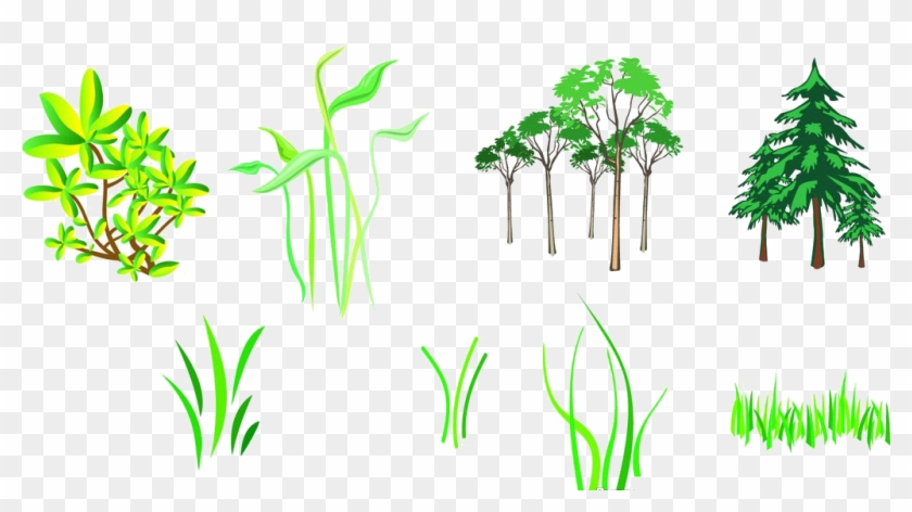 Branch Tree Silhouette Clipart #200148