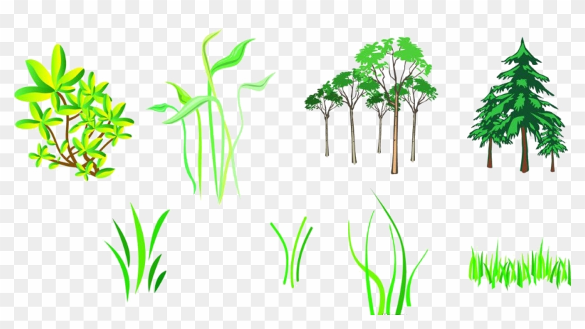 Branch Tree Silhouette Clipart