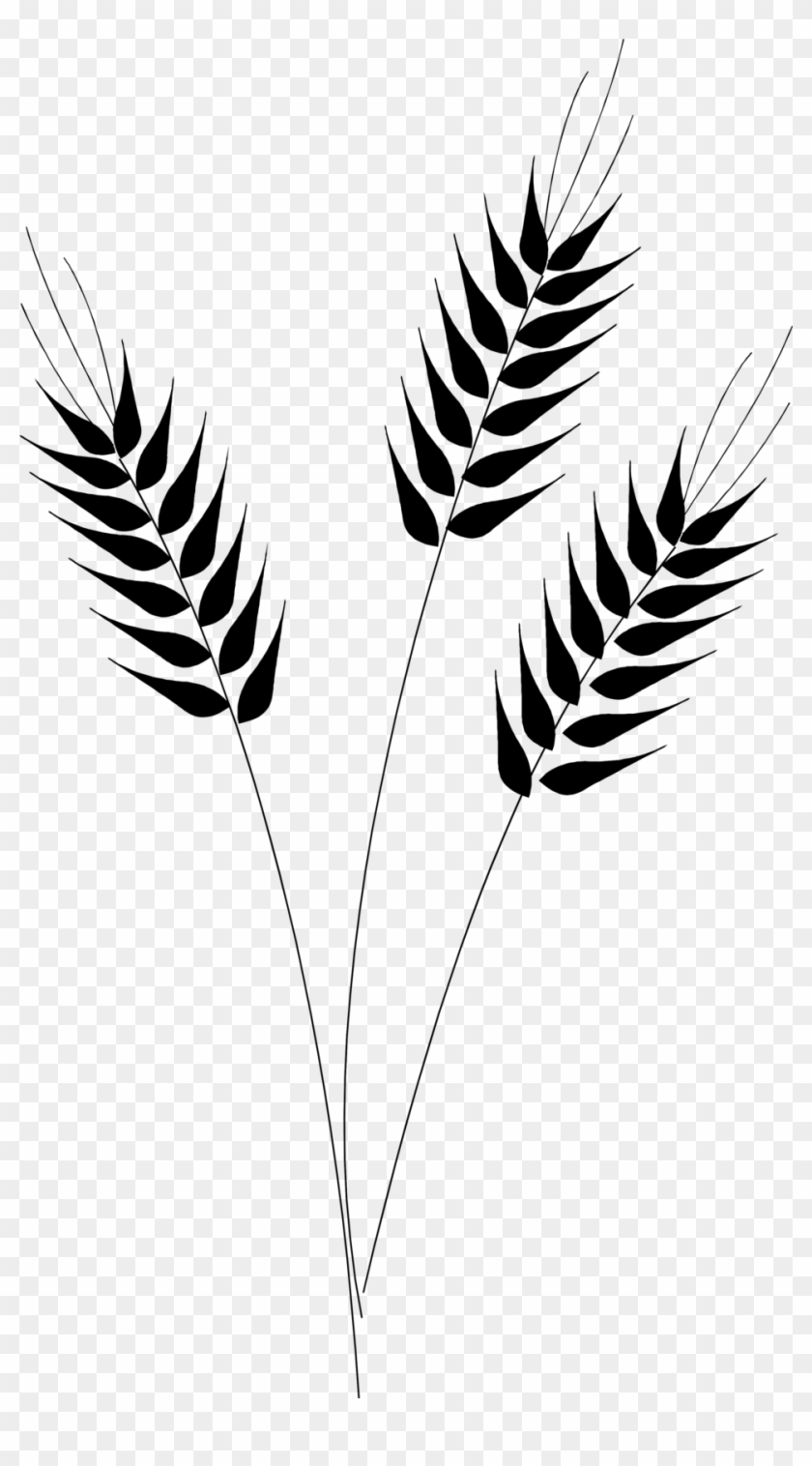 Grain Clipart Wheat Silhouette - Wheat Clipart Transparent Background - Png Download
