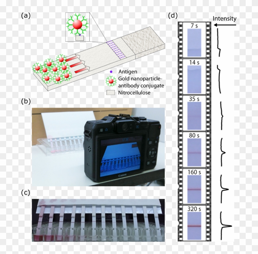 Microfluidics Scheme - Electronics Clipart