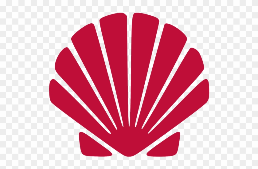 Aproveita E Clica No Vídeo Aqui Pra Ver Como Foi E - Shell Svg Clipart #202357