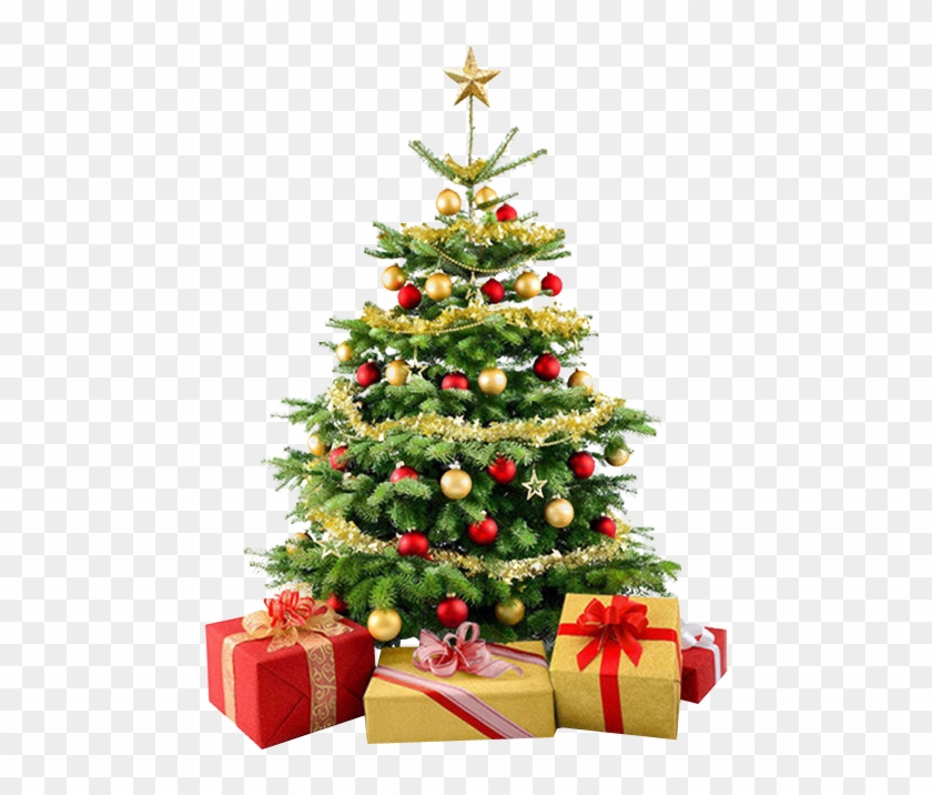Holiday Borders Clipart 30839 - Christmas Images Hd Download - Png Download