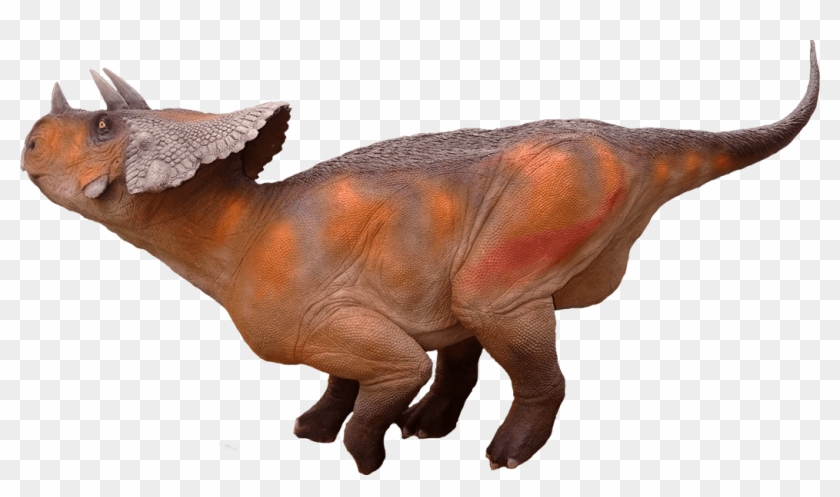 Triceratops - Dinosaur Avaceratops Png Clipart