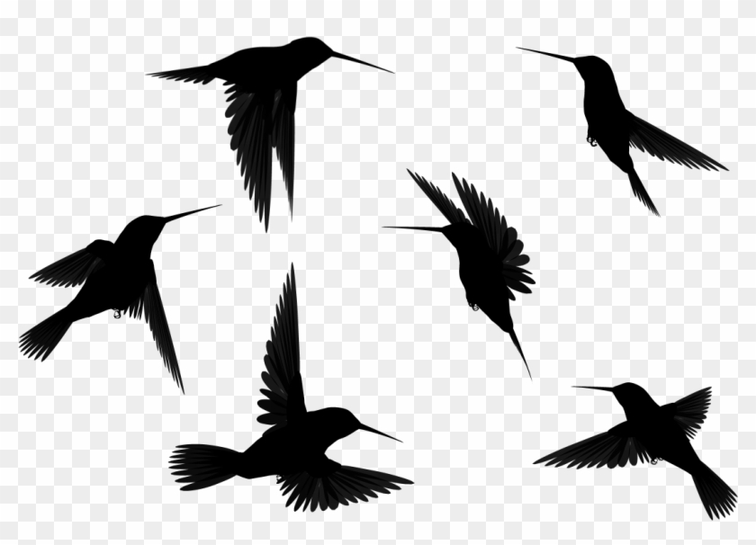 Bird Outline Png Hd Transparent Bird Outline Hd Images - Transparent Birds Silhouette Clipart