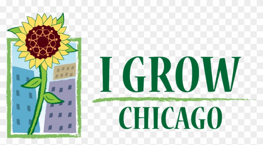 I Grow Chicago - Sunflower Clipart #204643