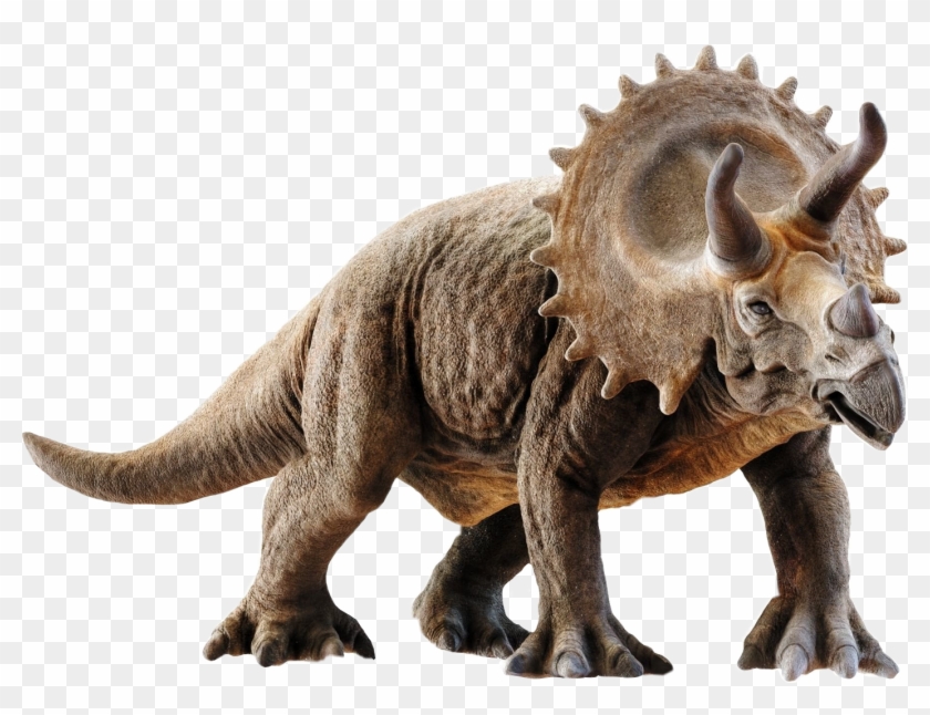 Triceratops 3d Model , Png Download Clipart #204826