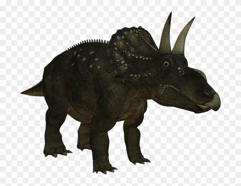 Triceratops Clipart #205129