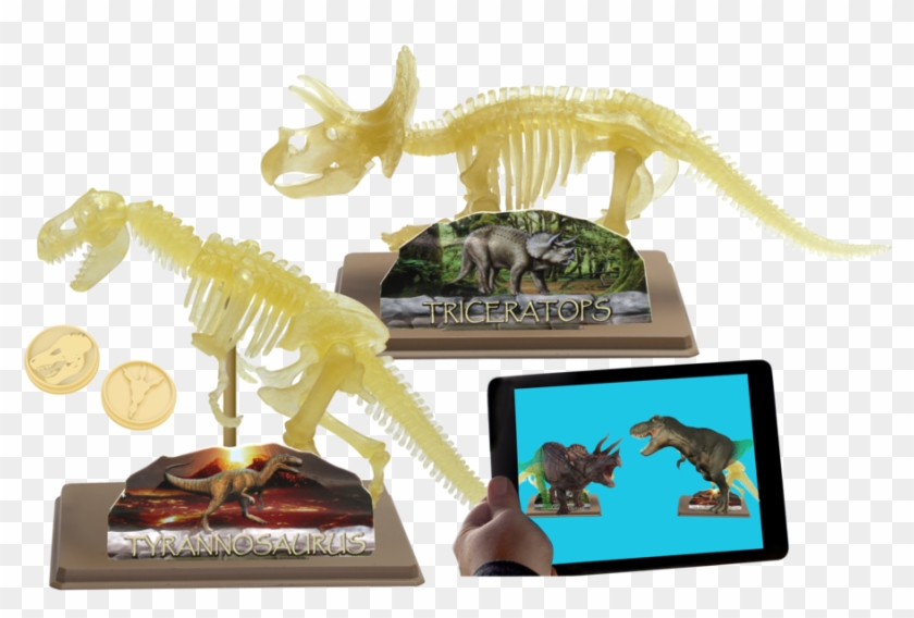 Ar Dinosaur Skeleton Museum - Triceratops Clipart #205224