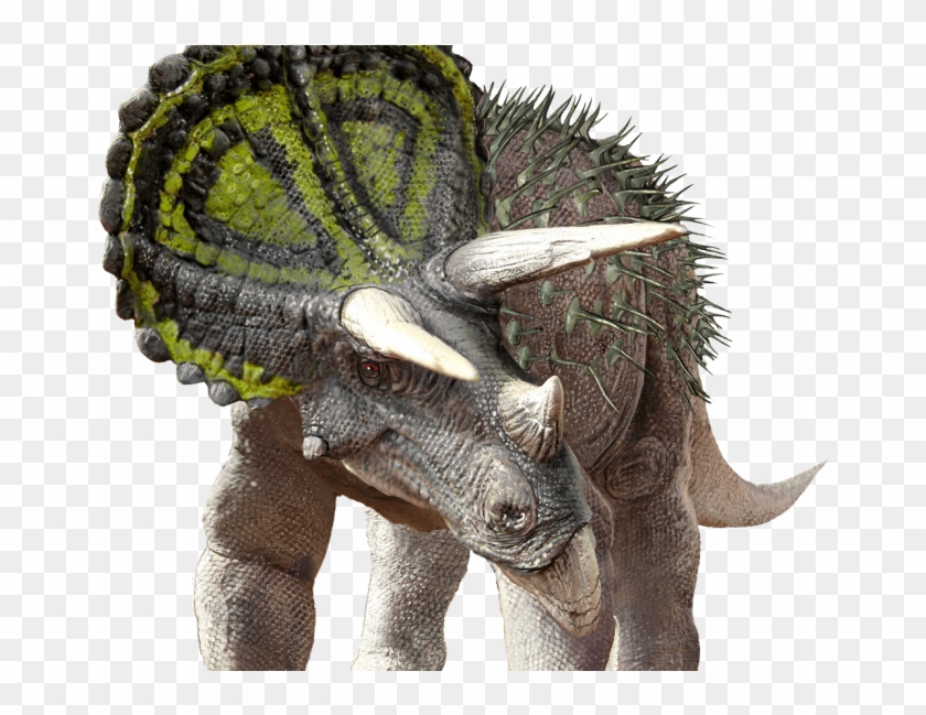 Download Dinosaur Photo Png Images Background - Dinosaur Revolution Sa Museum Clipart #205480