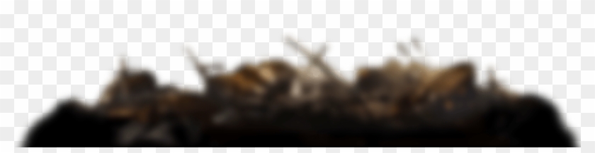 Close-up Clipart