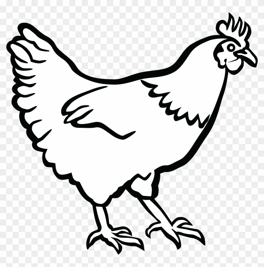 28 Collection Of Chicken Clipart Black And White - Black And White Chicken Clip Art - Png Download #207502