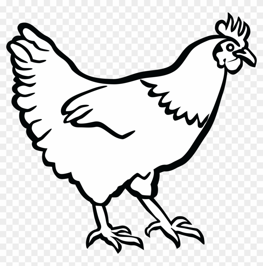28 Collection Of Chicken Clipart Black And White - Black And White Chicken Clip Art - Png Download