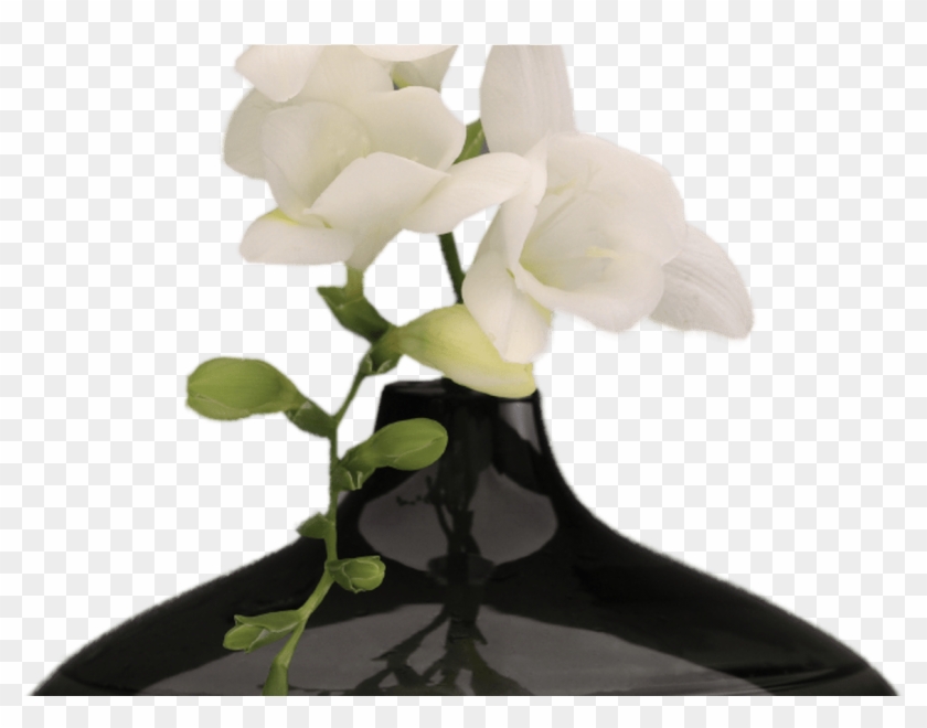 Png Hd Vase Of Flowers Transparent Hd Vase Of Flowerspng - Png Flower With Vase Clipart #207879