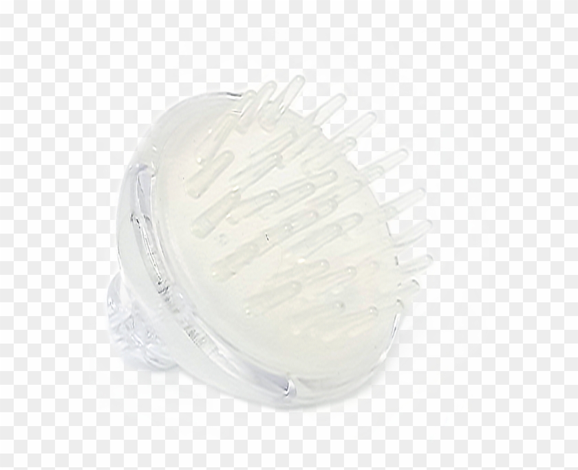 Soft Tip Massaging Scalp Brush - Glass Bottle Clipart