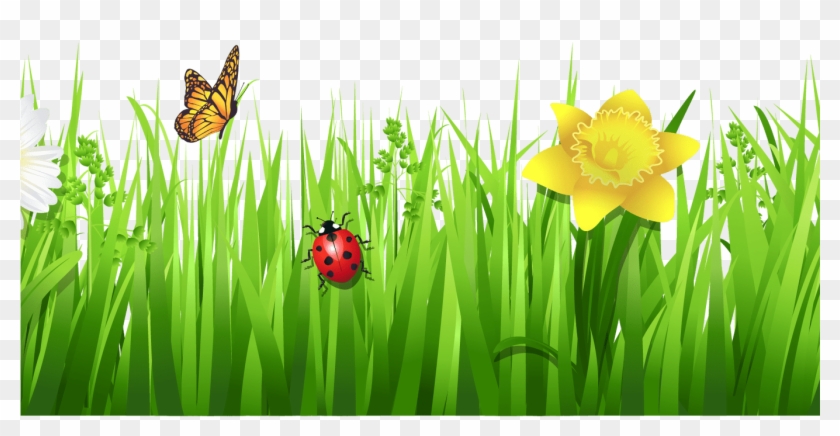 Grass Clip Art - Garden Png Clip Art Transparent Png #208420