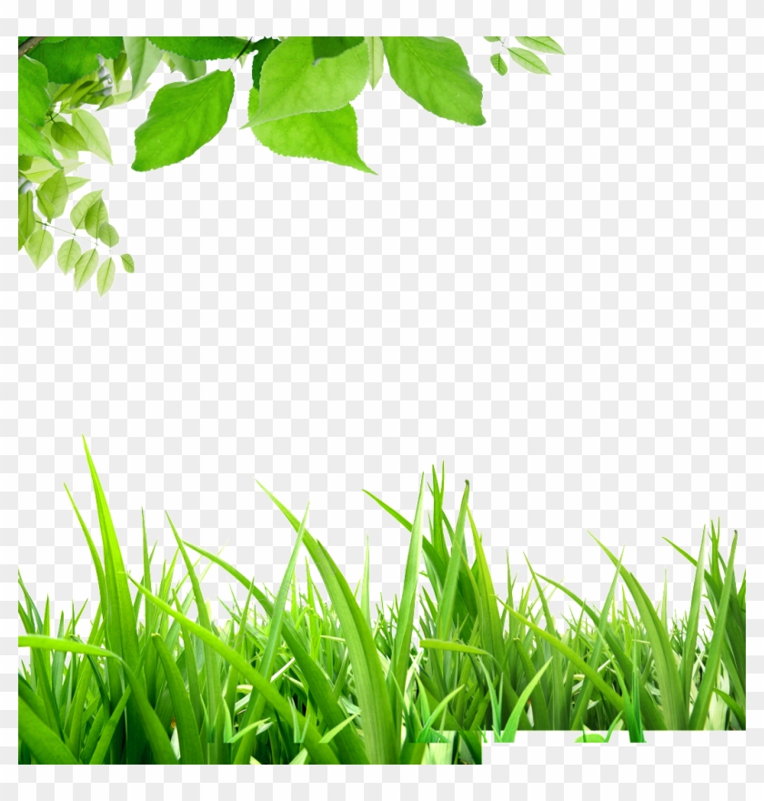 Green Background Hd - Background Xanh Lá Cây Cây Cỏ Clipart
