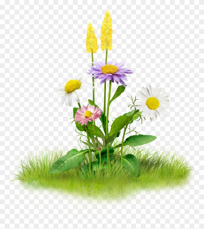 1412 X 1500 17 - Png Images Of Nature Clipart