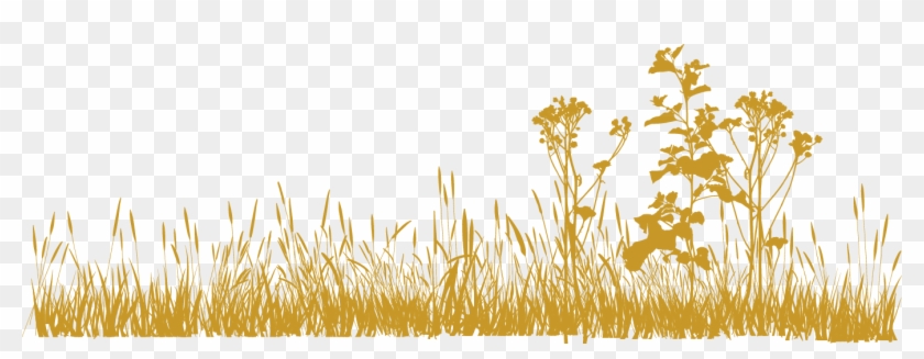 Png Grass All Hd Clipart #208841
