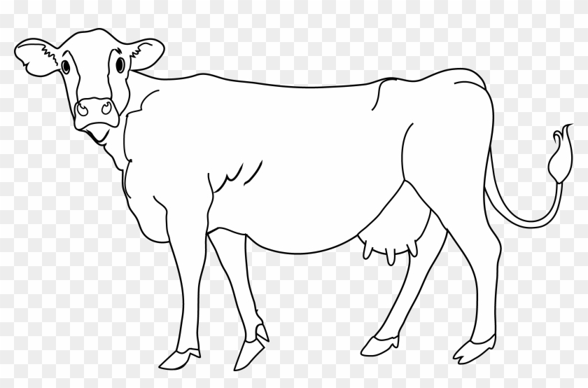 Cow Coloring Page - Cows Transparent Clipart #209284