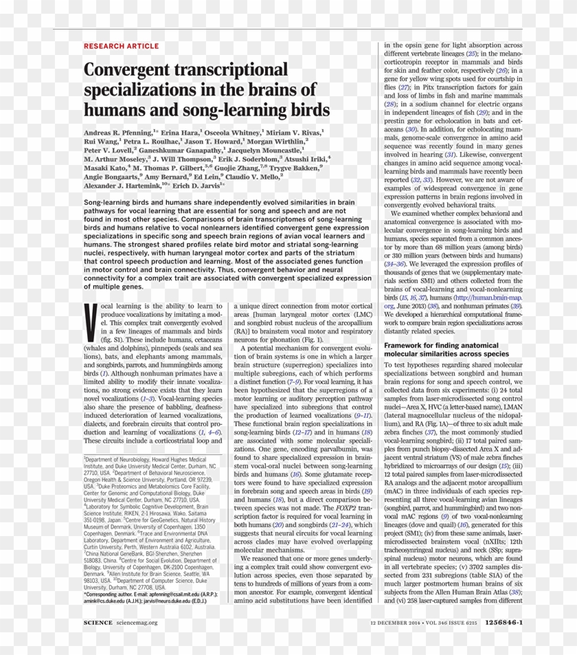 Powerhouse Mechanic , Png Download - Powerhouse Mechanic Clipart