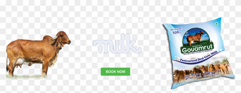 Why Desi Cow Milk - Dog Yawns Clipart #209596