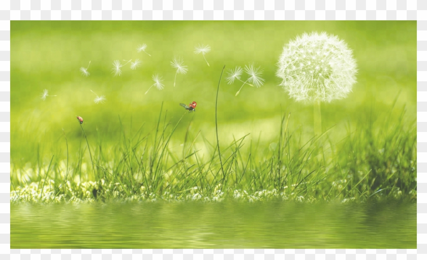 Good Morning & Happy Saturday Clipart