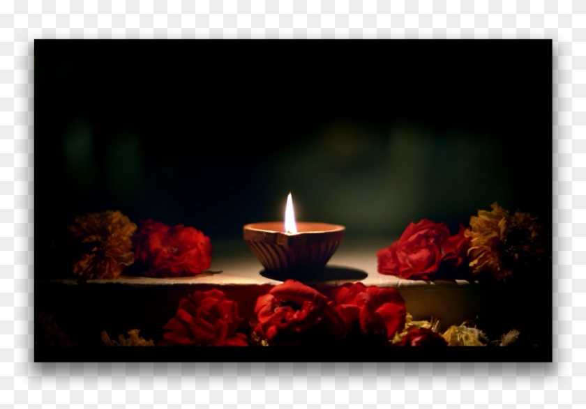 M2 - Still Life Photography Clipart #209729