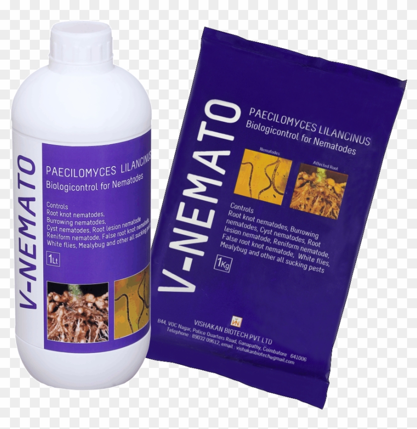 V-nemato - Carpenter Ant Clipart