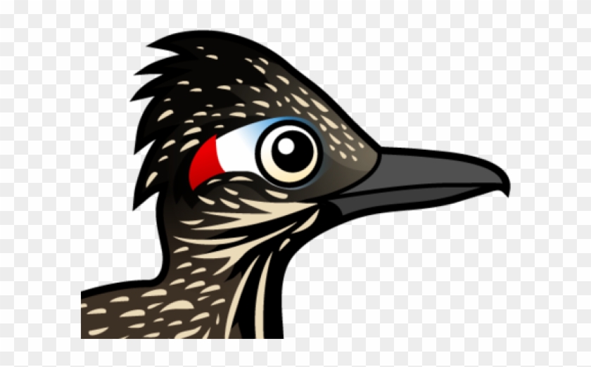 Roadrunner Clipart Greater Roadrunner - Flightless Bird - Png Download